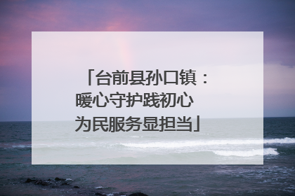 台前县孙口镇：暖心守护践初心 为民服务显担当
